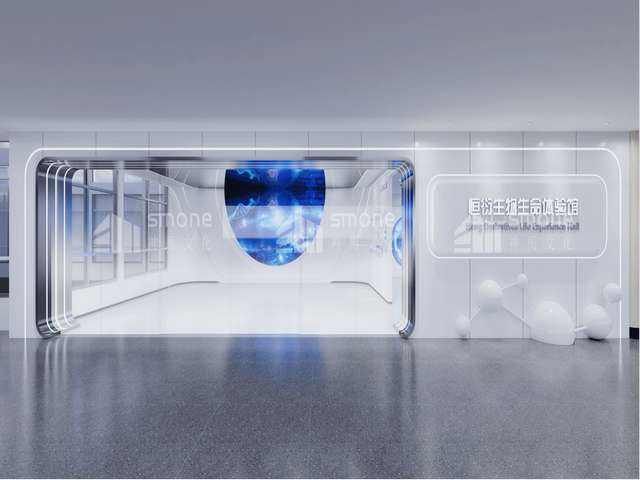 金华专业南非海运